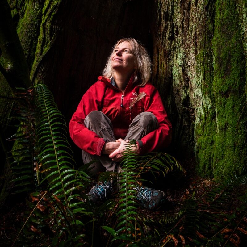 Suzanne Simard