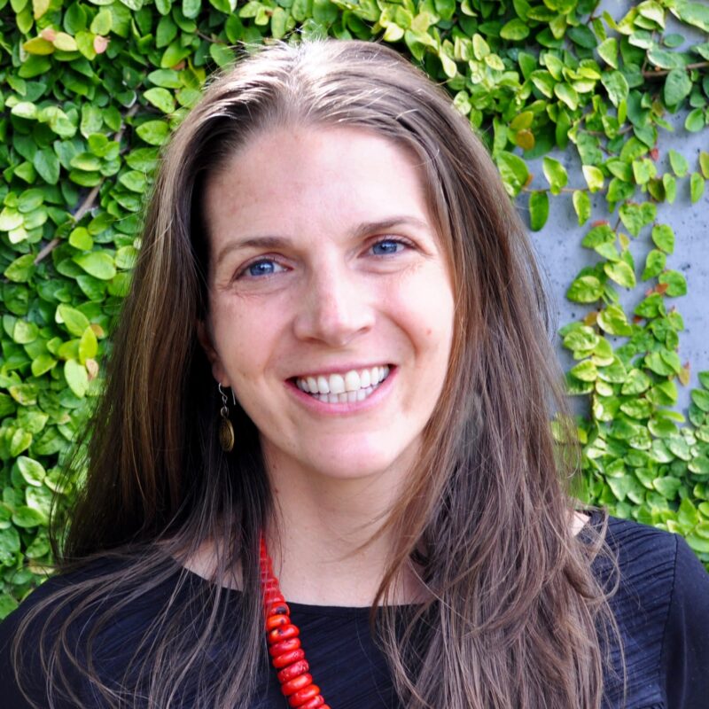 Laura Ann Sweitzer